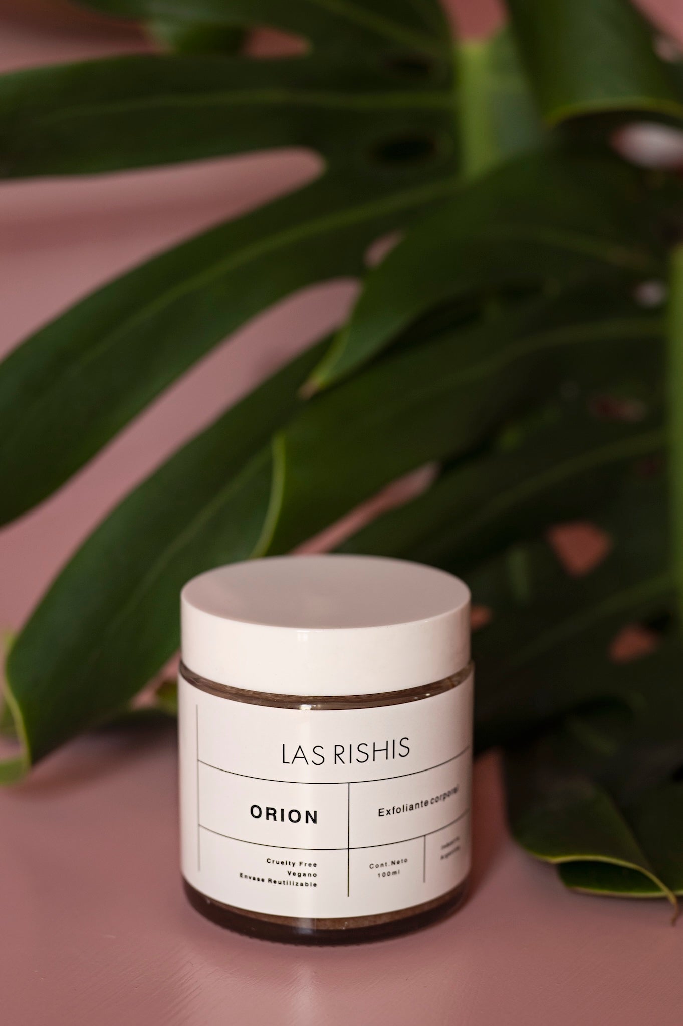 Orion