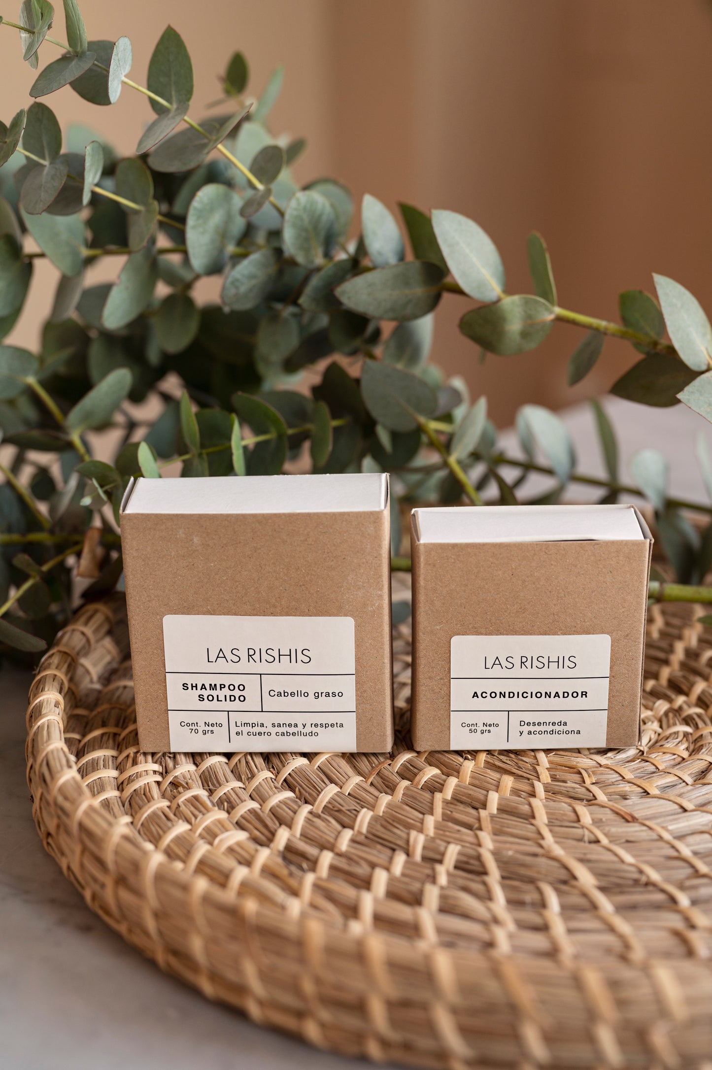 Kit Cabello Graso